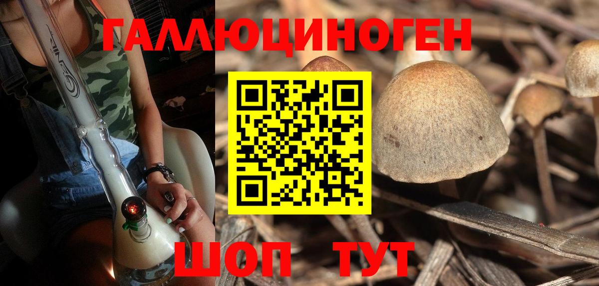 Псилоцибиновые грибы Psilocybe  Вход с VPN  Северобайкальск 